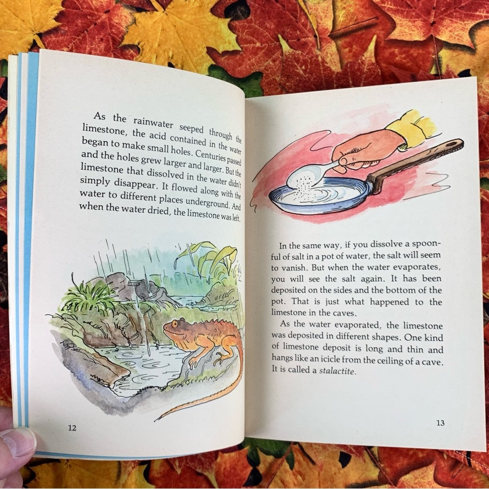 A Dark Dark Tale and Caves Book Set. - Picture 12 of 14